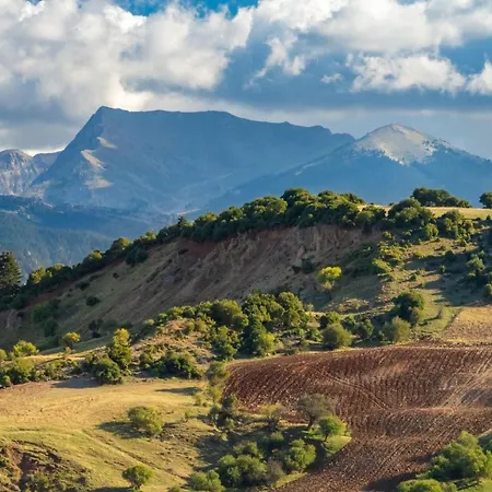 Evgenias House - Happy オリンピア